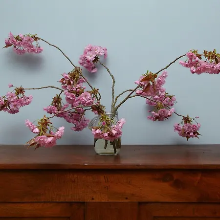 Nyaraló Vacation Near The *